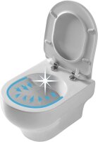 Wirquin Toilette WC Hänge WC Toilettenschüssel Kloschüssel Keramik Harmony